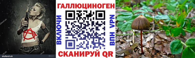 Псилоцибиновые грибы ЛСД  Купить где  Белозерск 