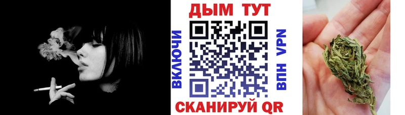 Шишки марихуана Bruce Banner  Купить закладки  Белозерск 